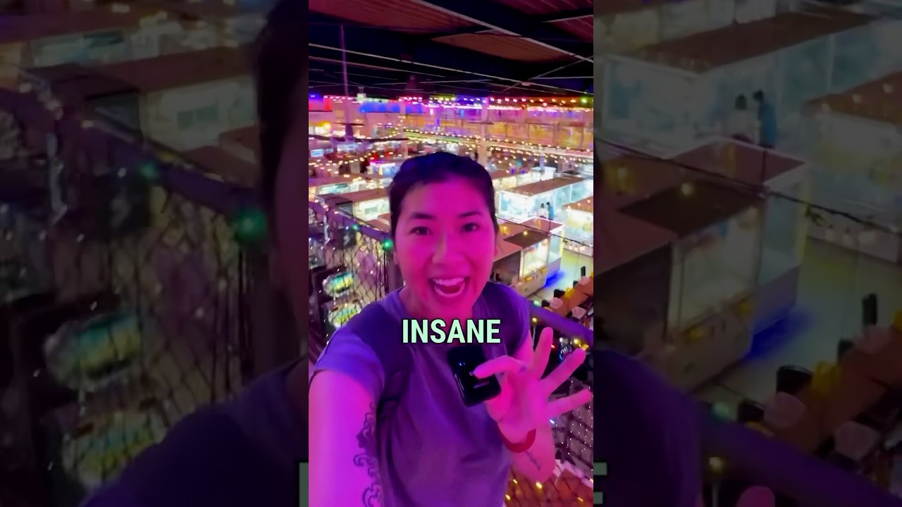 INSANE Amusement Park You Can ONLY Find In Japan! - YouTube