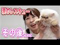 【ちゅんちゅん】天国のママへ僕たちは元気です！涙のレスキューあの猫ちゃんはどうなった？お手入れ大好きすぎてよだれが止まらないｗｗ【ペルシャ】