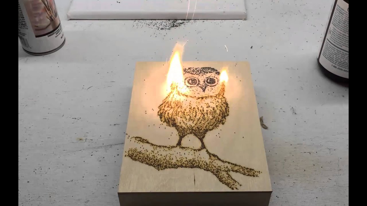 Baby Owl Owl Art Gunpowder Artwork - YouTube