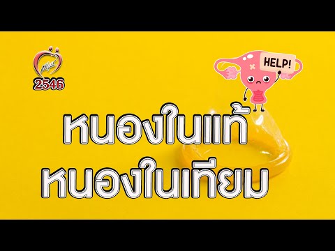 หนองในแท้ หนองในเทียม - ชูรักชูรส ep 138