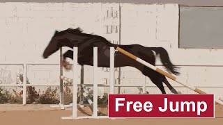 شاهد كيف تدرب حصان مبتدئ على القفز (  free jump )