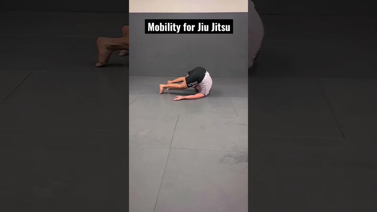 Mobility for Jiu Jitsu