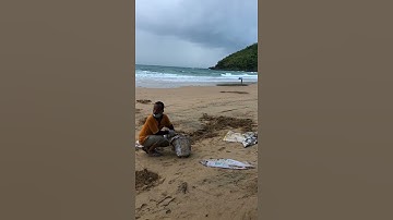 Bãi biển đẹp nhất Top 25 thế giới và rác cũng nhiều nhất Côn Đảo!