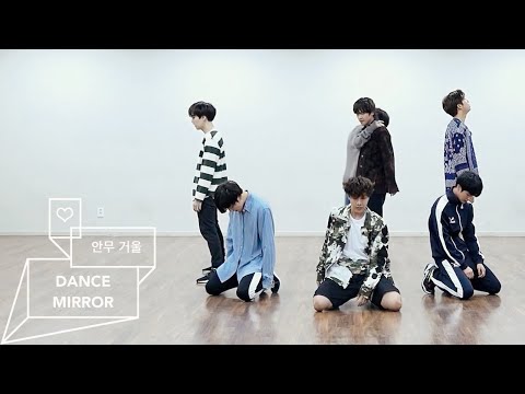 방탄소년단 (BTS) - FAKE LOVE -MIRRORED- (안무연습 거울모드)