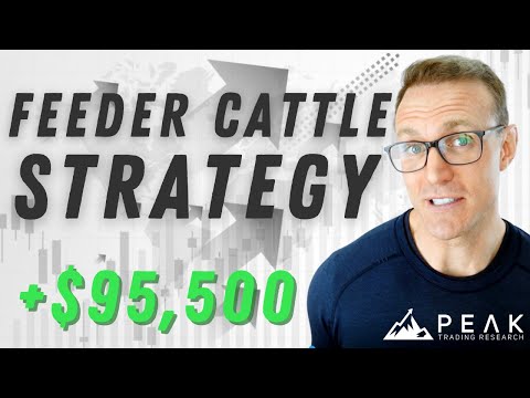 Feeder Cattle Volume Breakout | Strategy of the Month February 2022