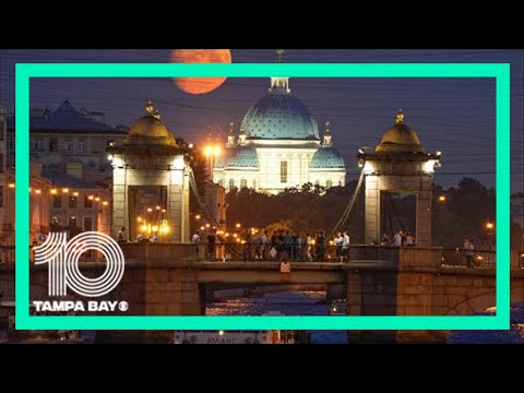 वीडियो: सेंट पीटर्सबर्ग की निर्माण कंपनियां: नाम और समीक्षा
