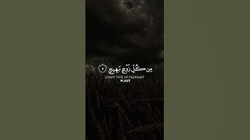 #اكتب_شي_تؤجر_عليه #تلاوة_هادئة #رمضان #quran #ramadan #راحة_نفسية #foryou #viral #like #fypシ゚viral