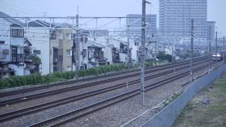 EF210-172号機[鶴]牽引　高速貨物列車