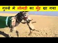 पागल गधे इतने खतरनाक क्यों होते हैं ? ANGRY DONKEY KILLS WILD ANIMALS