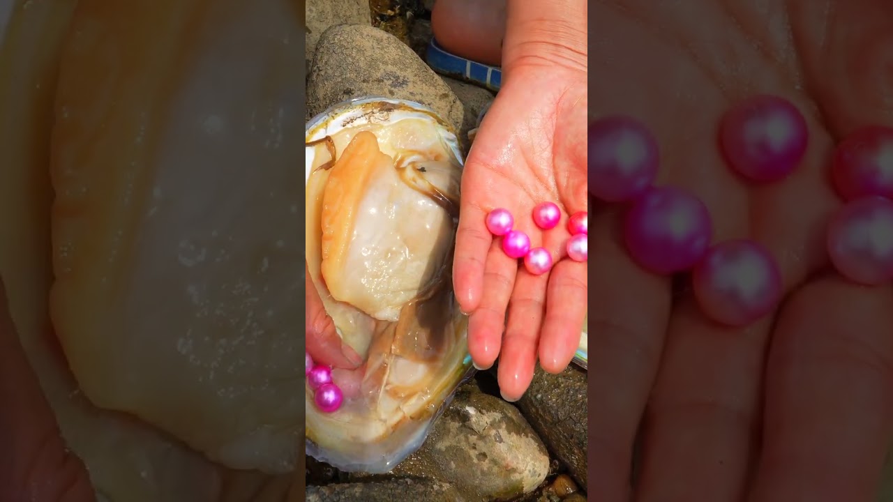 ❤️ Pink pearl makes people feel happy # Pearl