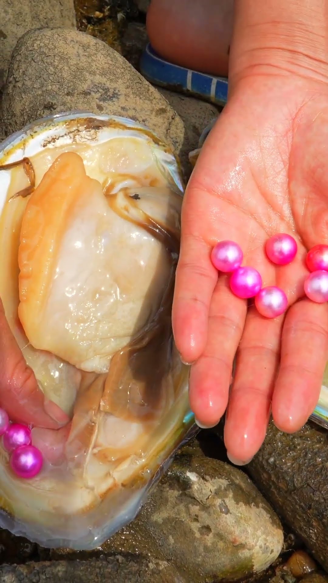 ❤️ Pink pearl makes people feel happy # Pearl - YouTube