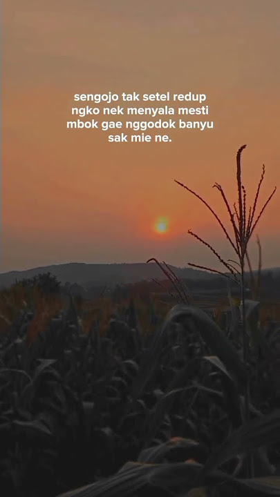 story wa' Selendang biru#shortvideo #viraltiktok #literasi15detik #subscribe