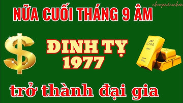 Lộc Tiến Cao Xa, Đinh Tỵ 1977 – Nửa Cuối Tháng 9 Âm, Sự Nghiệp Vững Vàng Tột Bậc