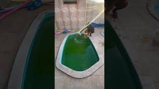 Limpeza de piscina #fy #pool #limpeza #pool #satisfying #viral #foryou #piscinas #satisfatorio