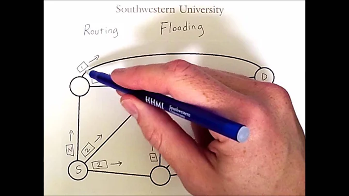 Routing 1: Flooding