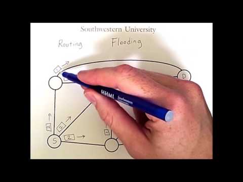 Video: In linkstatus wordt routing flooding aangeroepen?