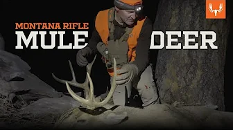 Montana Mule Deer | On the Hunt with Janis Putelis thumbnail
