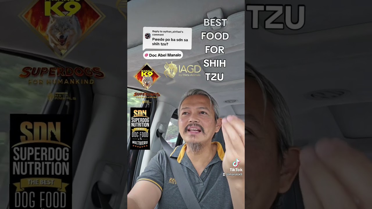 BEST DOG FOOD FOR SHIH TZU 