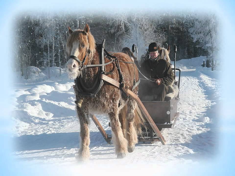 По дороге лошадка. Лошадь с санями. Лошадь в санях зимой. Лошадь с санями зимой. Лошадь запряженная в сани зимой.