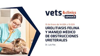 17.ES Urolitiasis felina y manejo médico de obstrucciones ureterales (Dr. Luis Feo)