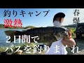 【釣りキャンプ】キャンプしながらバスを釣りまくれ！【キャンプ】
