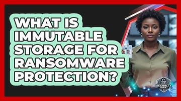 What Is Immutable Storage for Ransomware Protection?