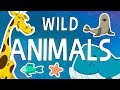 Savannah and Animal Characteristics