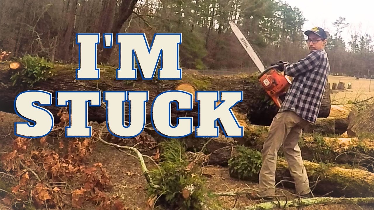 I cut up a tree and then do a little "pew pew"... - YouTube