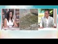 BOJE JUTRA - DA LI JE CRNOGORSKA OBALA SPREMNA ZA ŠPIC SEZONE (SRĐAN RADIĆ) | Vijesti online