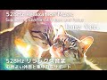 No. 0455 long | 528Hz リラックス音楽 | 心地よい休息と集中力をサポート