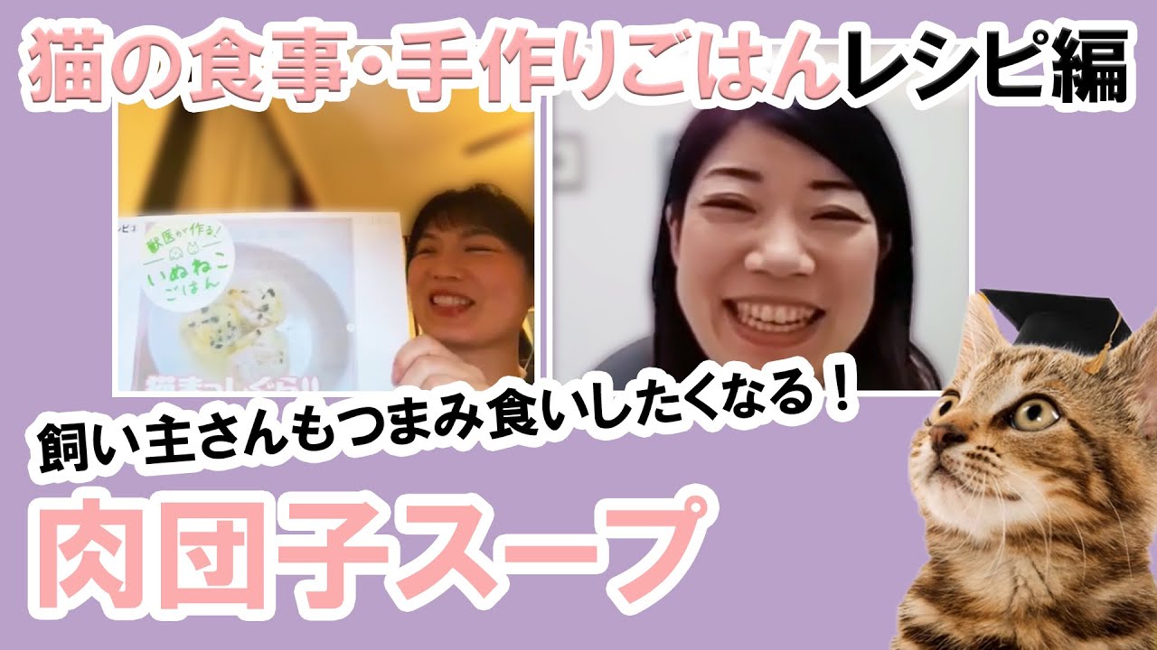 水分補給もできる 肉団子スープレシピ 猫の食事 手作りごはん 切り抜き Youtube