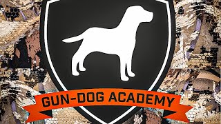 Gun Dog Academy You Wont Find Detail Like This Anywhere Else