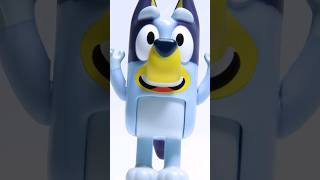 Bluey Theme Song Bluey Intro