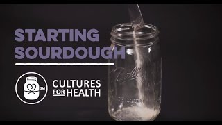 How to Make Sourdough Bread with Starter | Easy Beginner Recipe | Cultures for Health