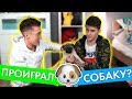 ПРОИГРАЛ СОБАКУ И 100.000 РУБЛЕЙ!