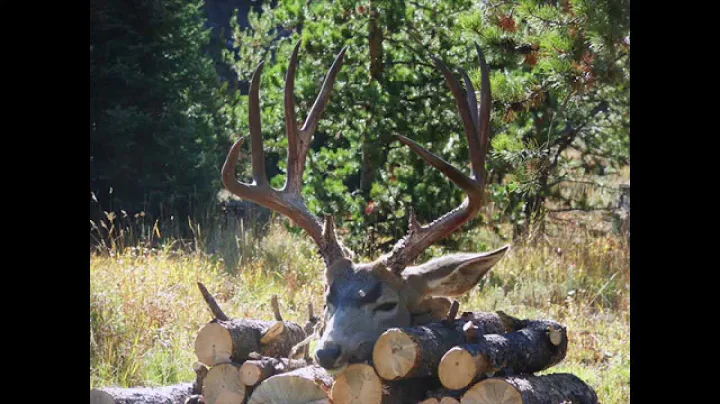 2014 Wyoming Mule Deer Hunt