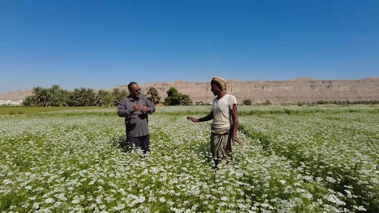 الأرض الطيبة - الحلقة الخامسة ( المزرعة الشرقية - تاربة )