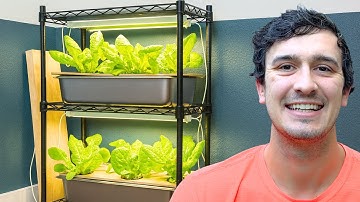 How I Built a DIY Hydroponic System at Home