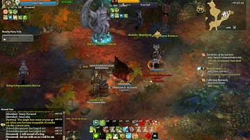 ToS Druid Transformation bug. Stuck after being hit.