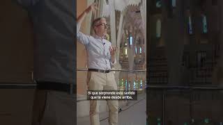 Los rincones secretos de la Sagrada Família | Un coro de 1.000 voces