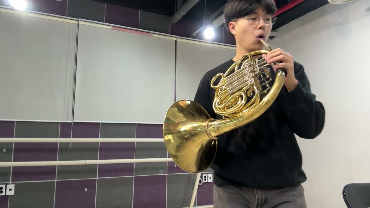 Thema und Variationen (Andante)