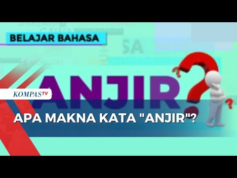 Video: Untuk apa bahasa gaul pohon?