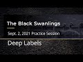 September 2, 2021 Practice Session on Deep Labels (with Derek Gaunt and Troy Smith)