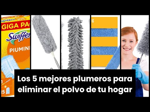 🎬 Video relacionado con plumeros atrapapolvo