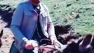 قیام Diriliş Ertuğrul