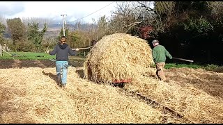 Good News - And Terrible News - For The Garlic Railway