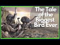 The Tale of the Elephant Bird: The Biggest Bird Ever