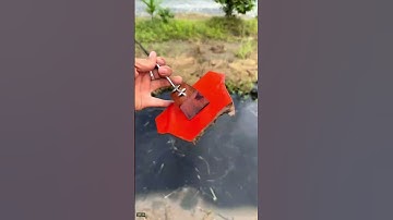 Bo bo thái tui cở này bo bo của anh em cở nào - Thiện GPT