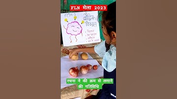 FLN मेला 2023 #flnmela2023 | गतिविधि आधारित शिक्षा | बालवाटिका | निपुण भारत मिशन | मिशन प्रेरणा
