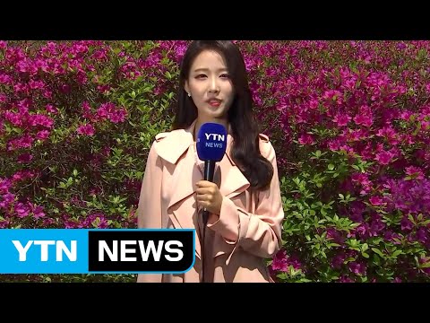 [날씨] 따뜻한 주말...서쪽 미세먼지 주의 / YTN